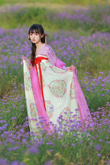 孙俪唱凤凰于飞梦回甄嬛